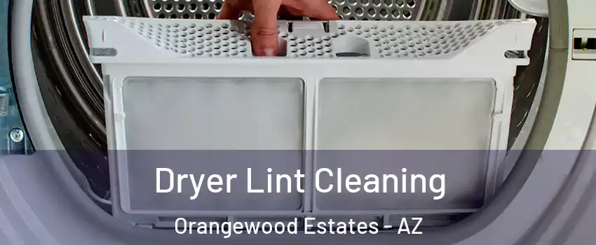 Dryer Lint Cleaning Orangewood Estates - AZ