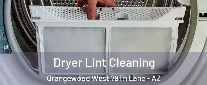 Dryer Lint Cleaning Orangewood West 79Th Lane - AZ