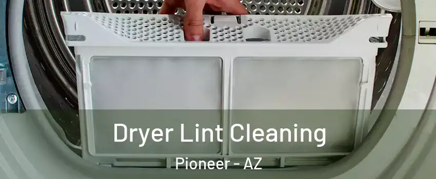 Dryer Lint Cleaning Pioneer - AZ