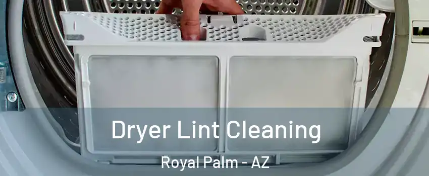 Dryer Lint Cleaning Royal Palm - AZ
