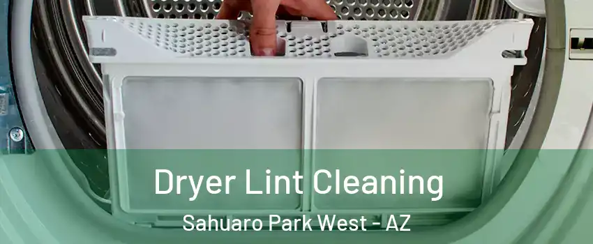 Dryer Lint Cleaning Sahuaro Park West - AZ