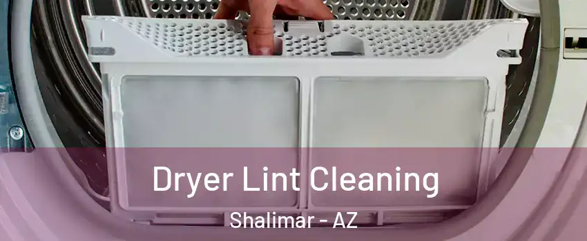 Dryer Lint Cleaning Shalimar - AZ