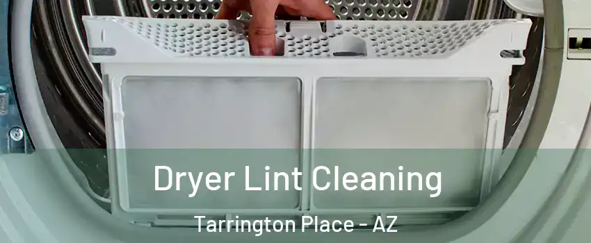 Dryer Lint Cleaning Tarrington Place - AZ