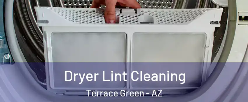 Dryer Lint Cleaning Terrace Green - AZ