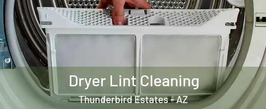 Dryer Lint Cleaning Thunderbird Estates - AZ