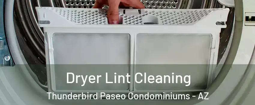 Dryer Lint Cleaning Thunderbird Paseo Condominiums - AZ