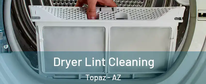 Dryer Lint Cleaning Topaz - AZ
