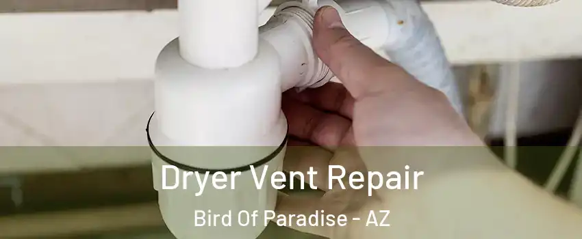 Dryer Vent Repair Bird Of Paradise - AZ