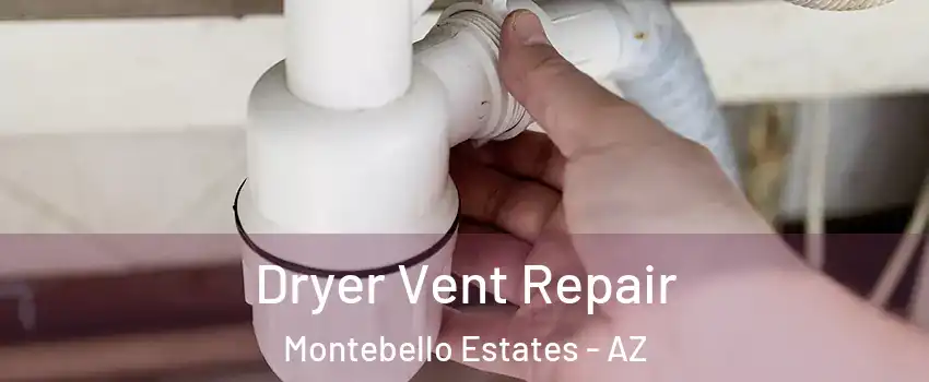 Dryer Vent Repair Montebello Estates - AZ