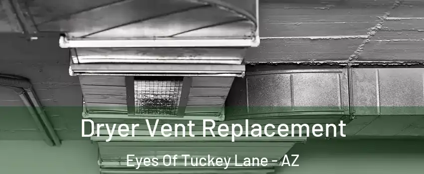Dryer Vent Replacement Eyes Of Tuckey Lane - AZ