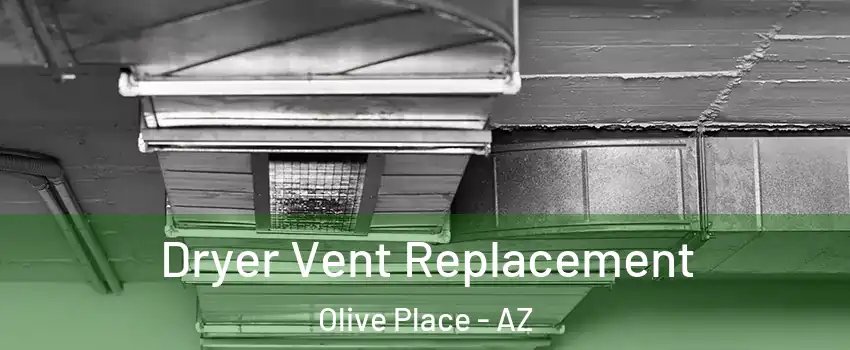 Dryer Vent Replacement Olive Place - AZ