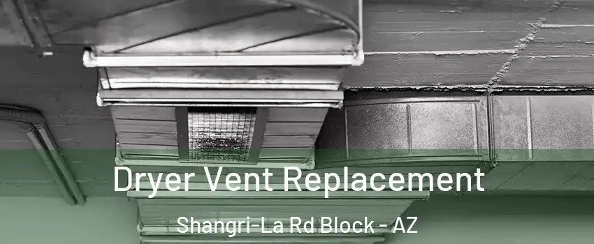 Dryer Vent Replacement Shangri-La Rd Block - AZ