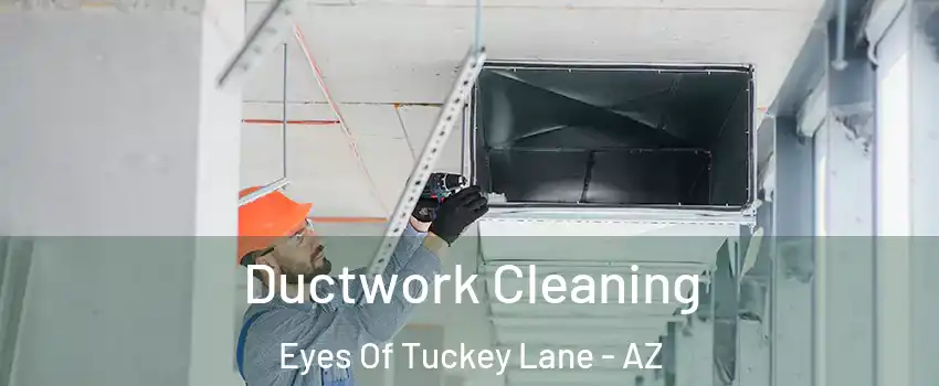 Ductwork Cleaning Eyes Of Tuckey Lane - AZ