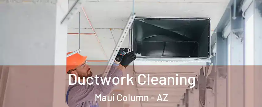 Ductwork Cleaning Maui Column - AZ