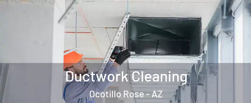 Ductwork Cleaning Ocotillo Rose - AZ