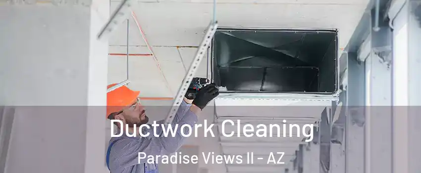 Ductwork Cleaning Paradise Views II - AZ