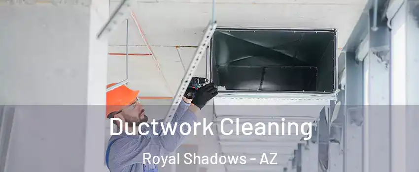 Ductwork Cleaning Royal Shadows - AZ