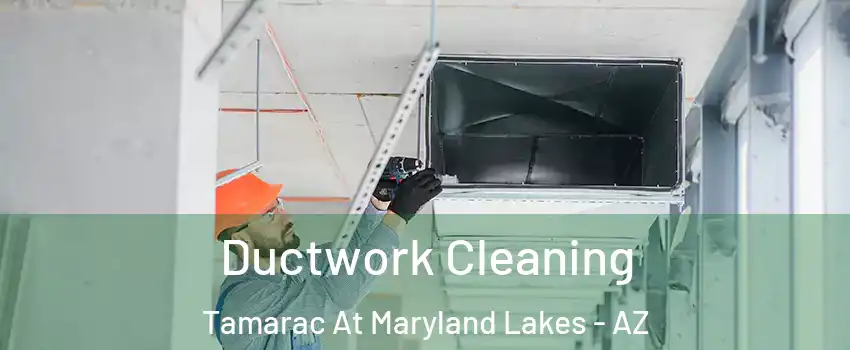 Ductwork Cleaning Tamarac At Maryland Lakes - AZ