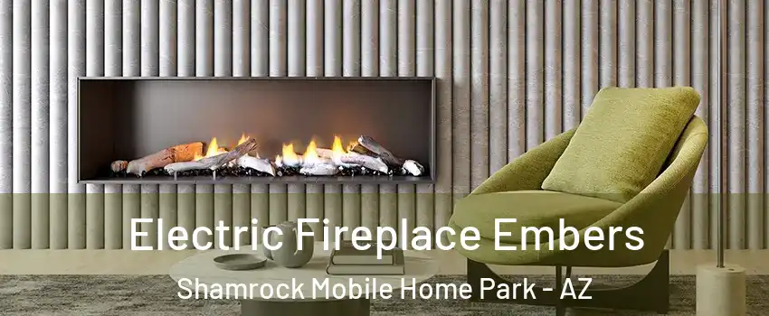 Electric Fireplace Embers Shamrock Mobile Home Park - AZ