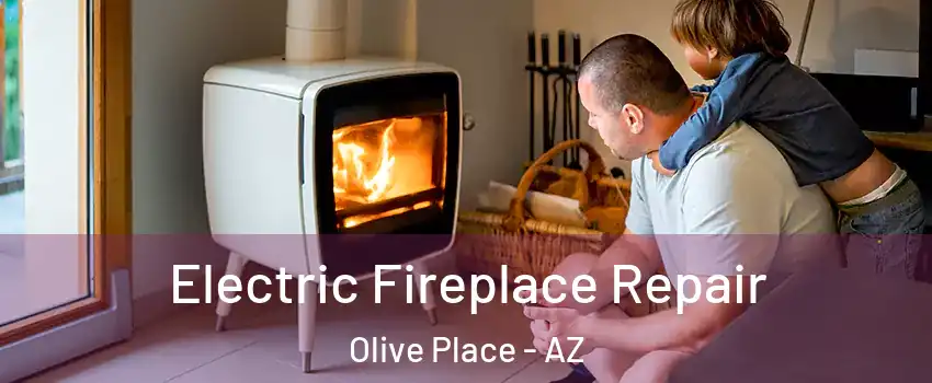 Electric Fireplace Repair Olive Place - AZ