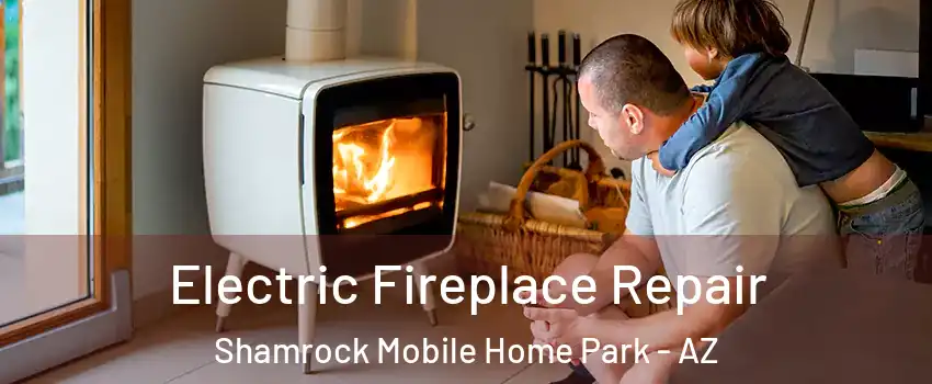 Electric Fireplace Repair Shamrock Mobile Home Park - AZ