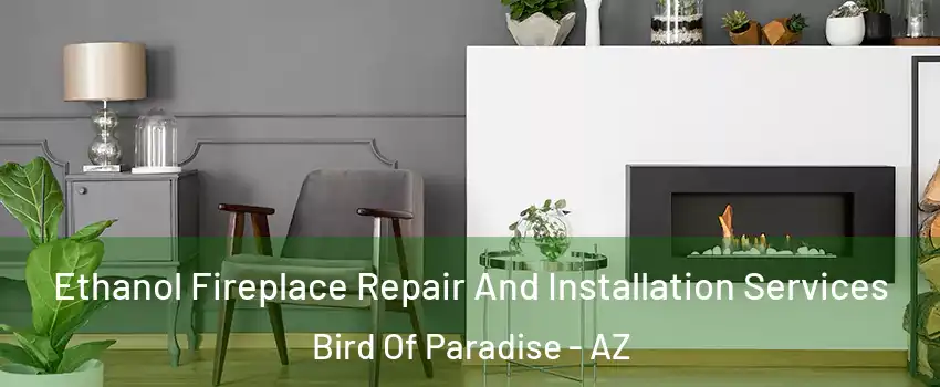 Ethanol Fireplace Repair And Installation Services Bird Of Paradise - AZ