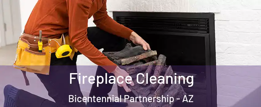 Fireplace Cleaning Bicentennial Partnership - AZ