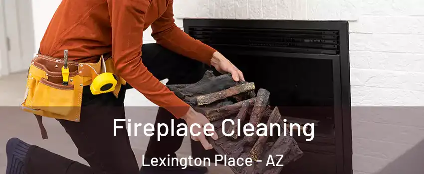 Fireplace Cleaning Lexington Place - AZ