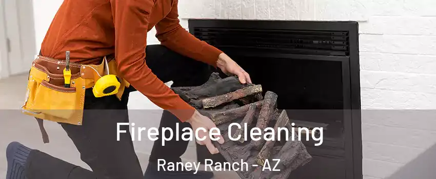 Fireplace Cleaning Raney Ranch - AZ
