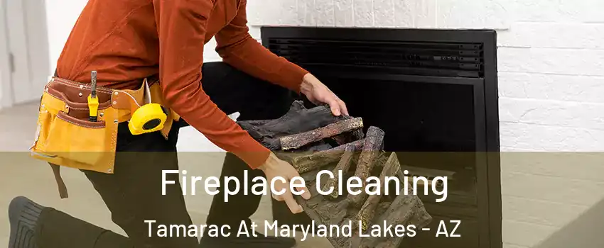 Fireplace Cleaning Tamarac At Maryland Lakes - AZ