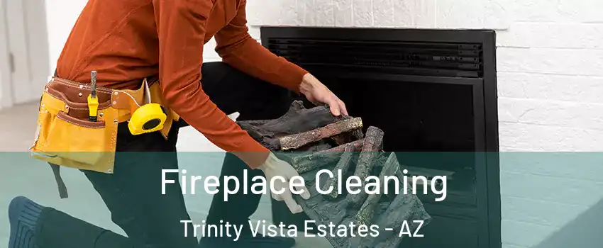 Fireplace Cleaning Trinity Vista Estates - AZ