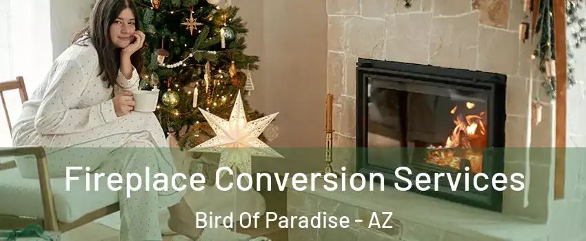 Fireplace Conversion Services Bird Of Paradise - AZ