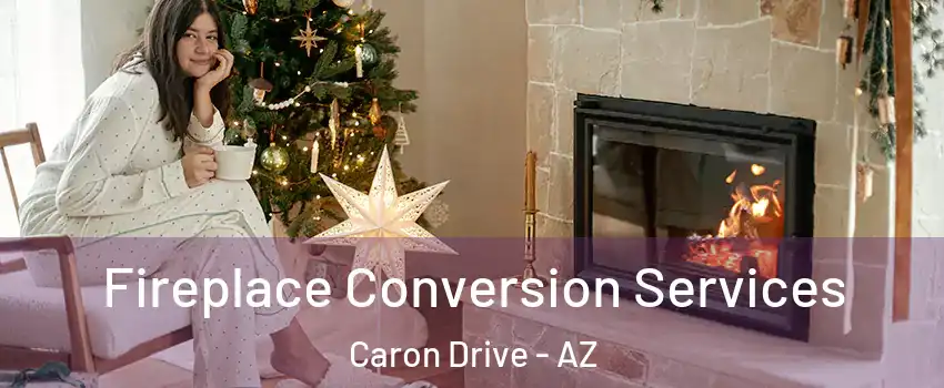 Fireplace Conversion Services Caron Drive - AZ