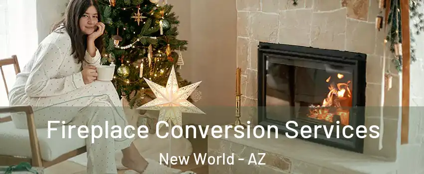 Fireplace Conversion Services New World - AZ