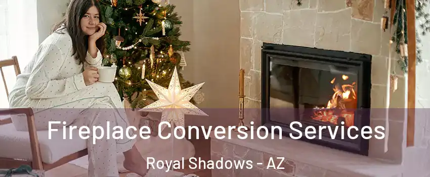 Fireplace Conversion Services Royal Shadows - AZ