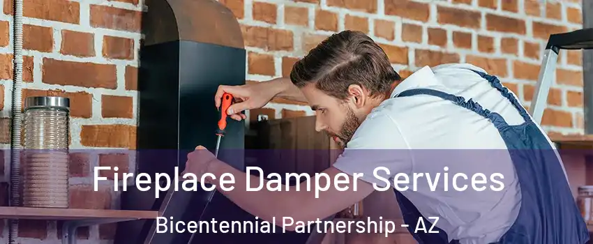 Fireplace Damper Services Bicentennial Partnership - AZ