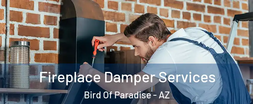 Fireplace Damper Services Bird Of Paradise - AZ