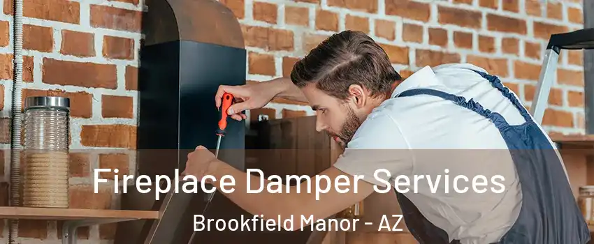 Fireplace Damper Services Brookfield Manor - AZ