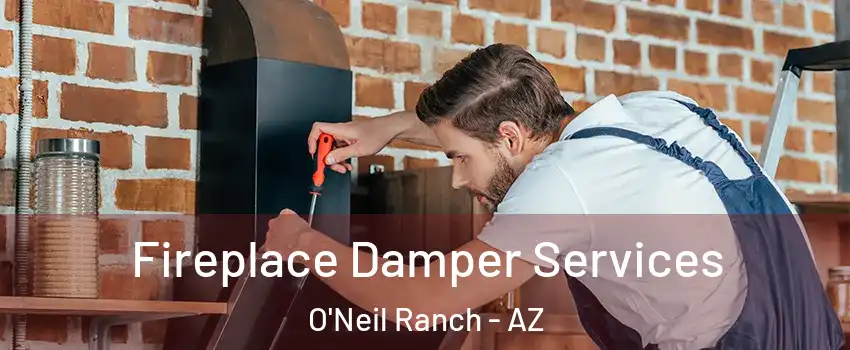 Fireplace Damper Services O'Neil Ranch - AZ