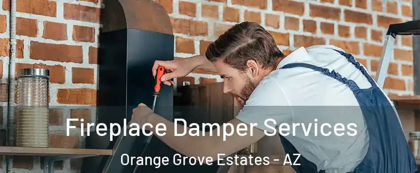 Fireplace Damper Services Orange Grove Estates - AZ