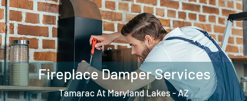 Fireplace Damper Services Tamarac At Maryland Lakes - AZ