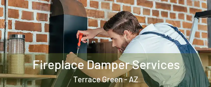 Fireplace Damper Services Terrace Green - AZ