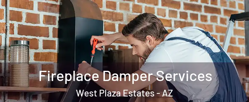 Fireplace Damper Services West Plaza Estates - AZ