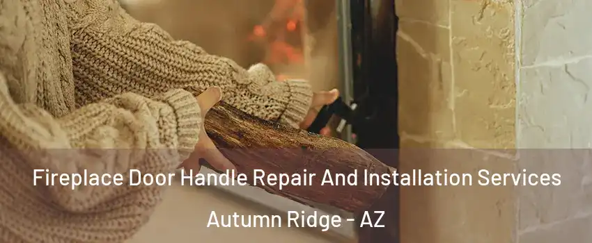 Fireplace Door Handle Repair And Installation Services Autumn Ridge - AZ