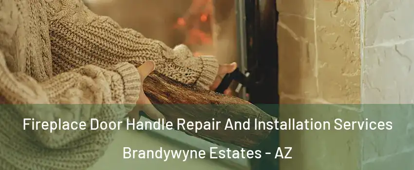 Fireplace Door Handle Repair And Installation Services Brandywyne Estates - AZ