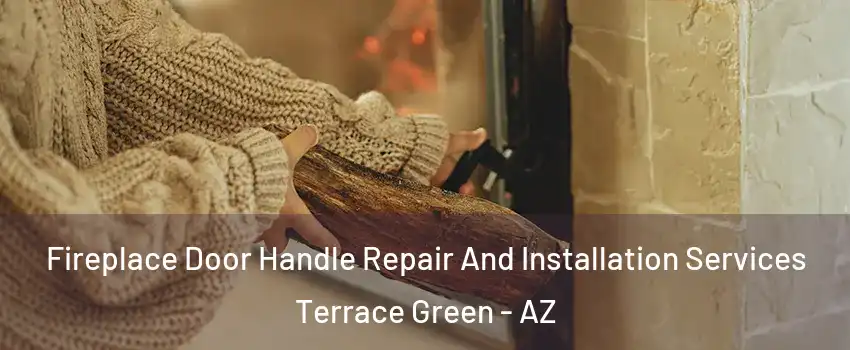 Fireplace Door Handle Repair And Installation Services Terrace Green - AZ