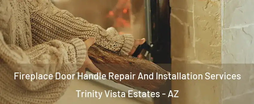 Fireplace Door Handle Repair And Installation Services Trinity Vista Estates - AZ