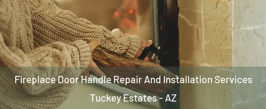 Fireplace Door Handle Repair And Installation Services Tuckey Estates - AZ