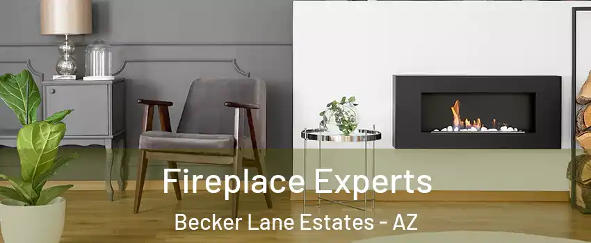 Fireplace Experts Becker Lane Estates - AZ