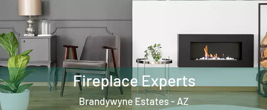 Fireplace Experts Brandywyne Estates - AZ